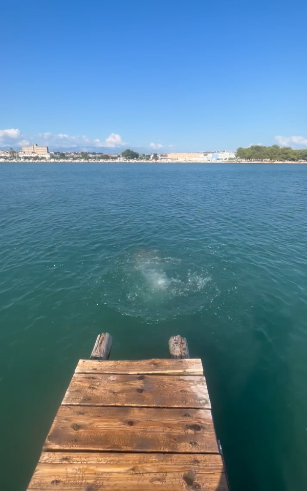 Adriatic views