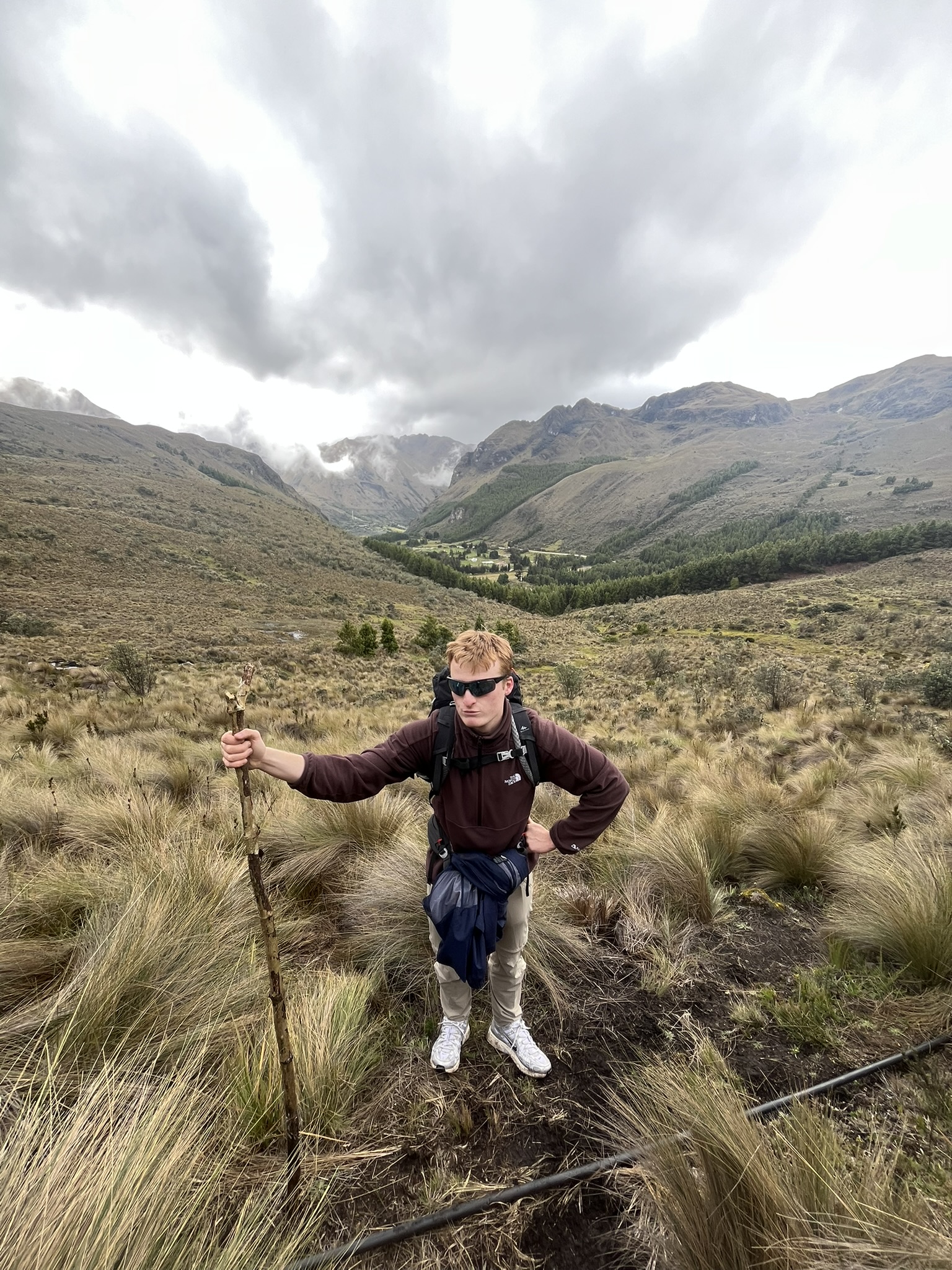 Cajas landscape