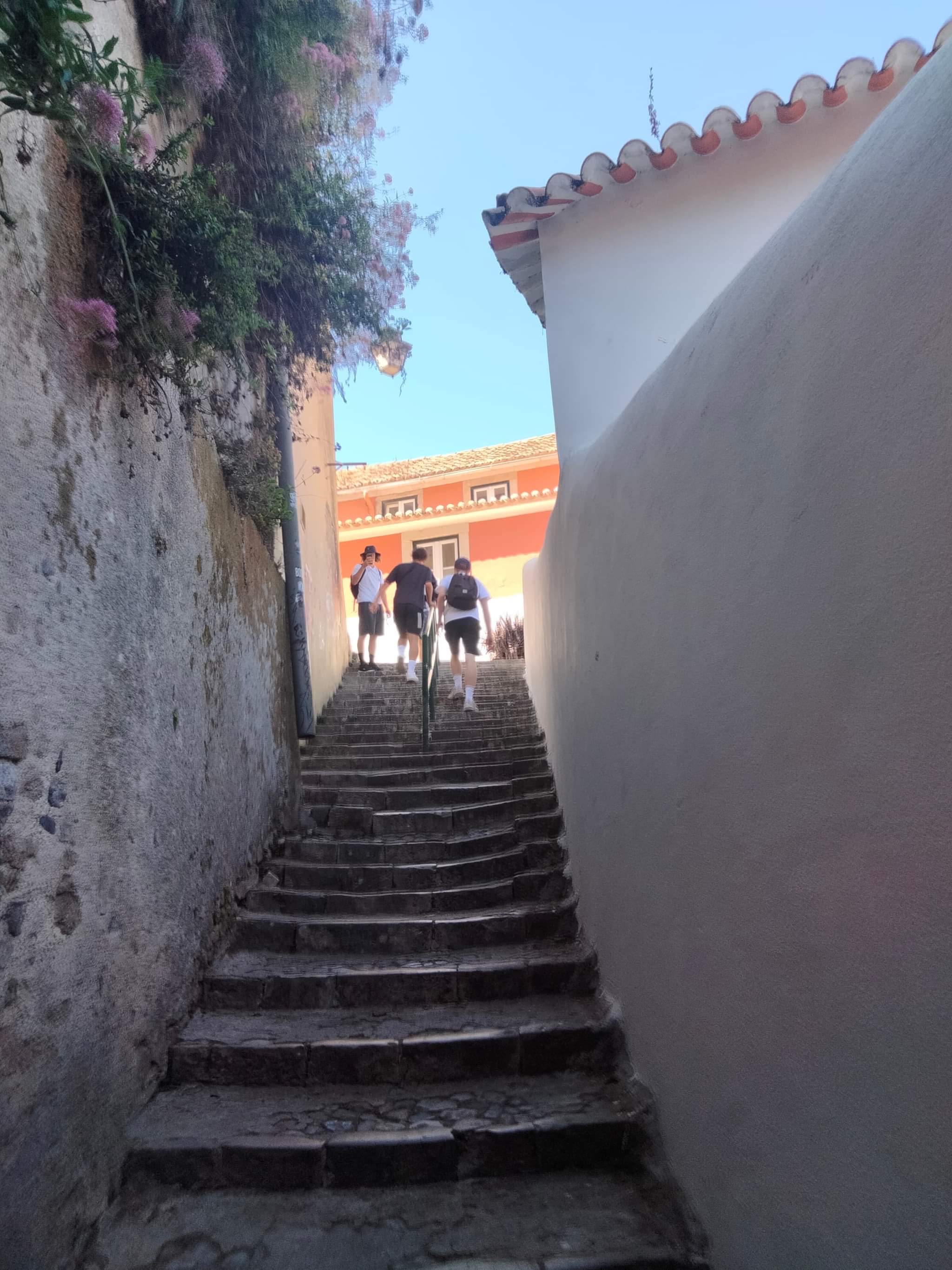Sintra palace