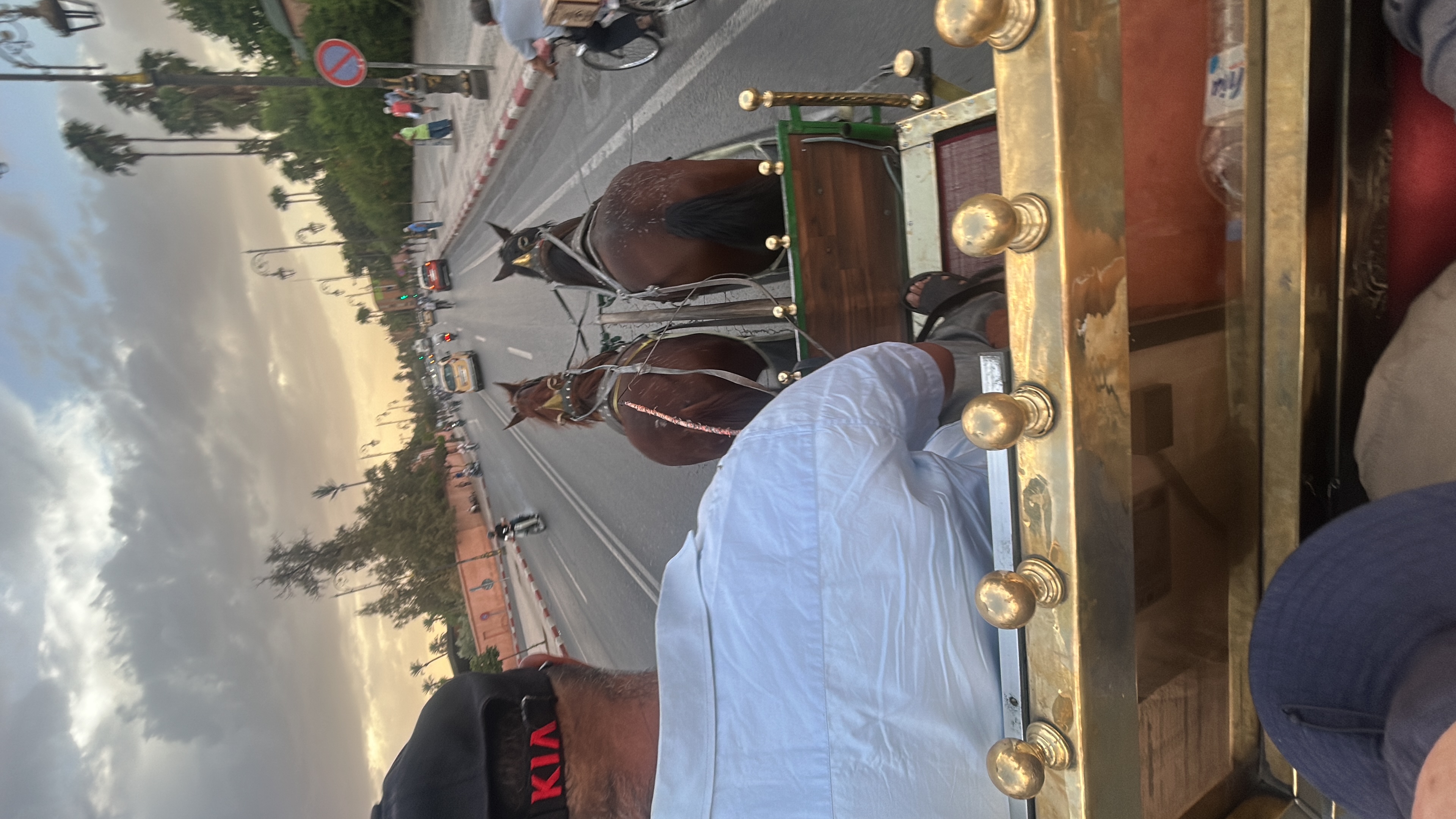 Marrakesh palace