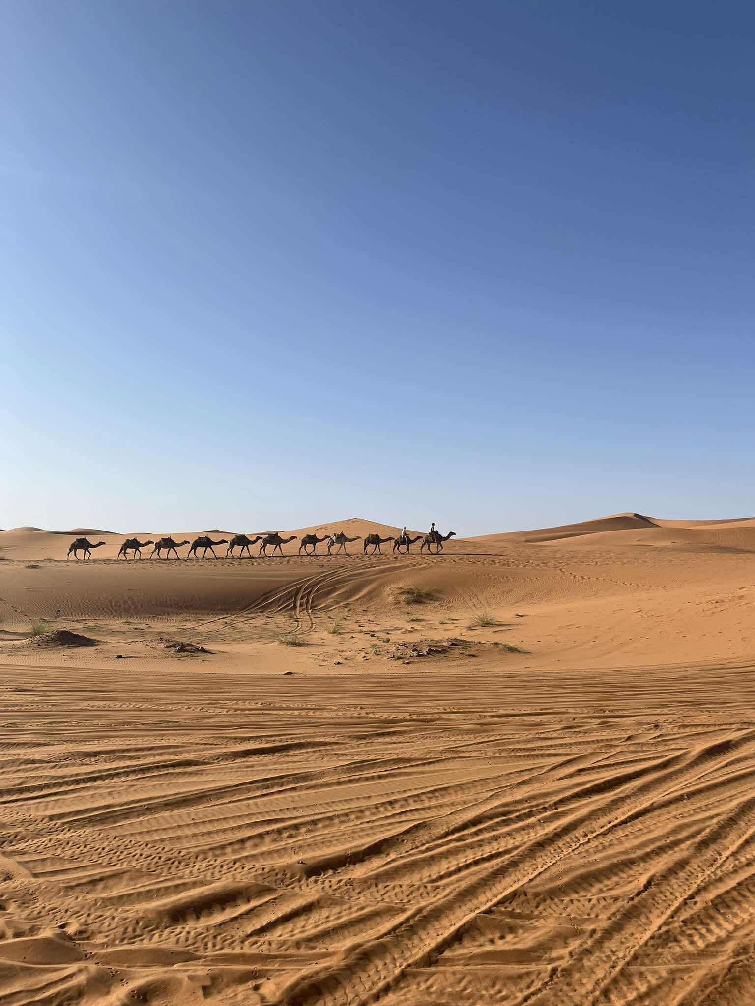 Desert camp