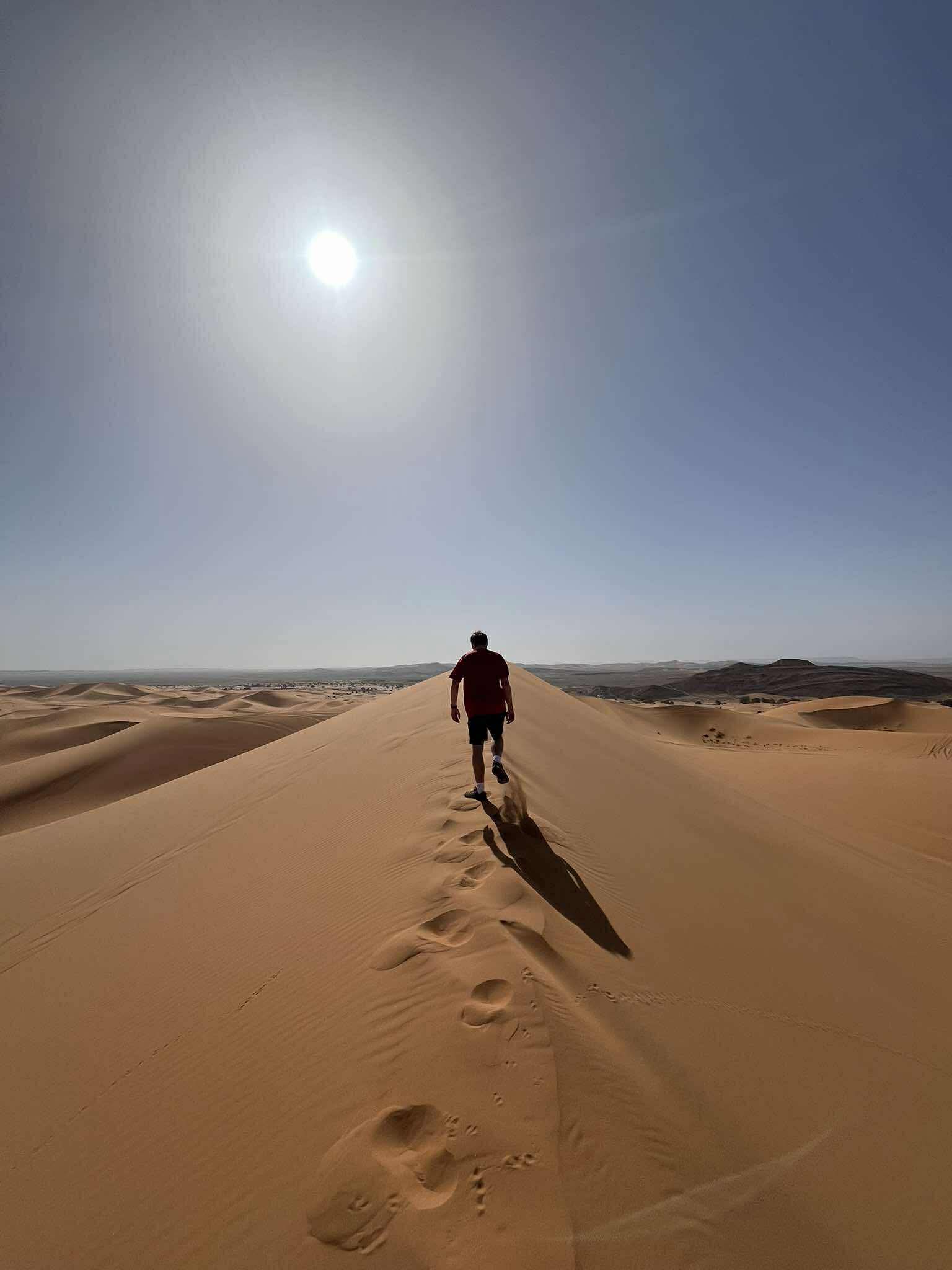 Desert landscape