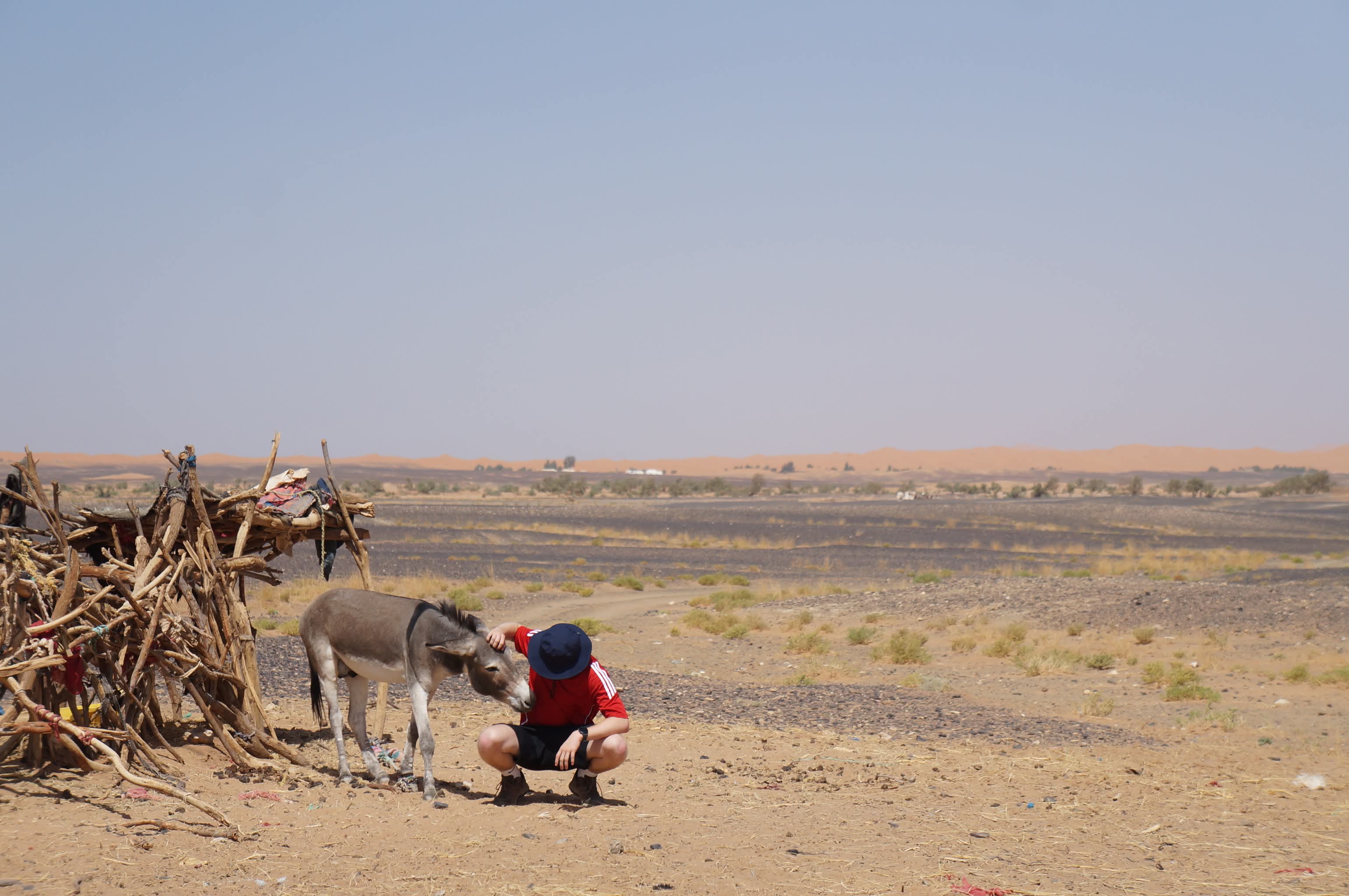 Sahara views